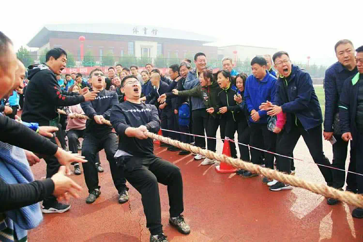 网球拍子长的和圆的